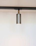 Luminar Track Mount Spotlight — Browned Brass