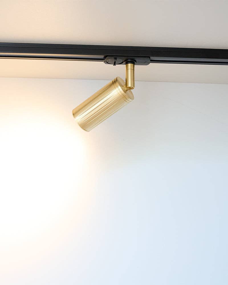 Close-up of brass finish ceiling track spotlight detail