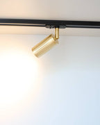Close-up of brass finish ceiling track spotlight detail