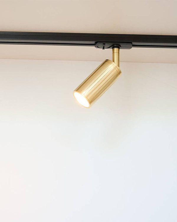 Luminar brass track mount spotlight cylinder on ceiling
