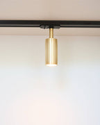 Luminar Track Mount Spotlight — Brass