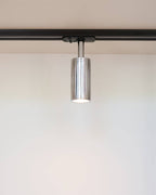 Luminar Track Mount Spotlight — Steel