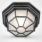 Corvus Hexagonal Outdoor Lantern — Glass, Brushed Black/Silver