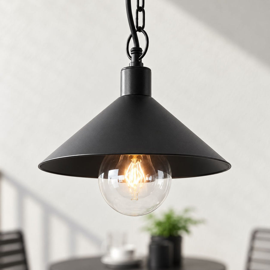 Linden Traditional Outdoor Pendant Light — Black, Clear Glass Globe