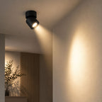Renzo Rotatable 360° LED Spot Light — Dimmable, Warm White, Matt Black
