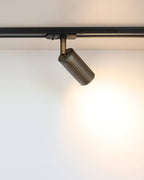Luminar directional ceiling spotlight in burnished brass finish