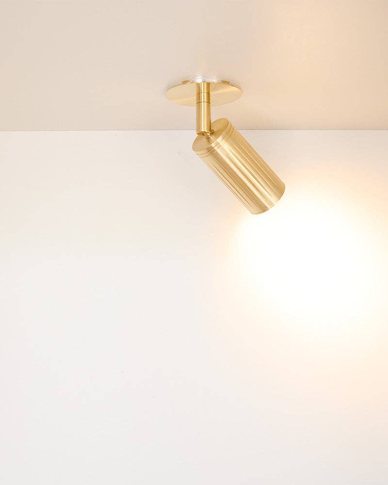 Luminar spotlight illuminating artwork on wall