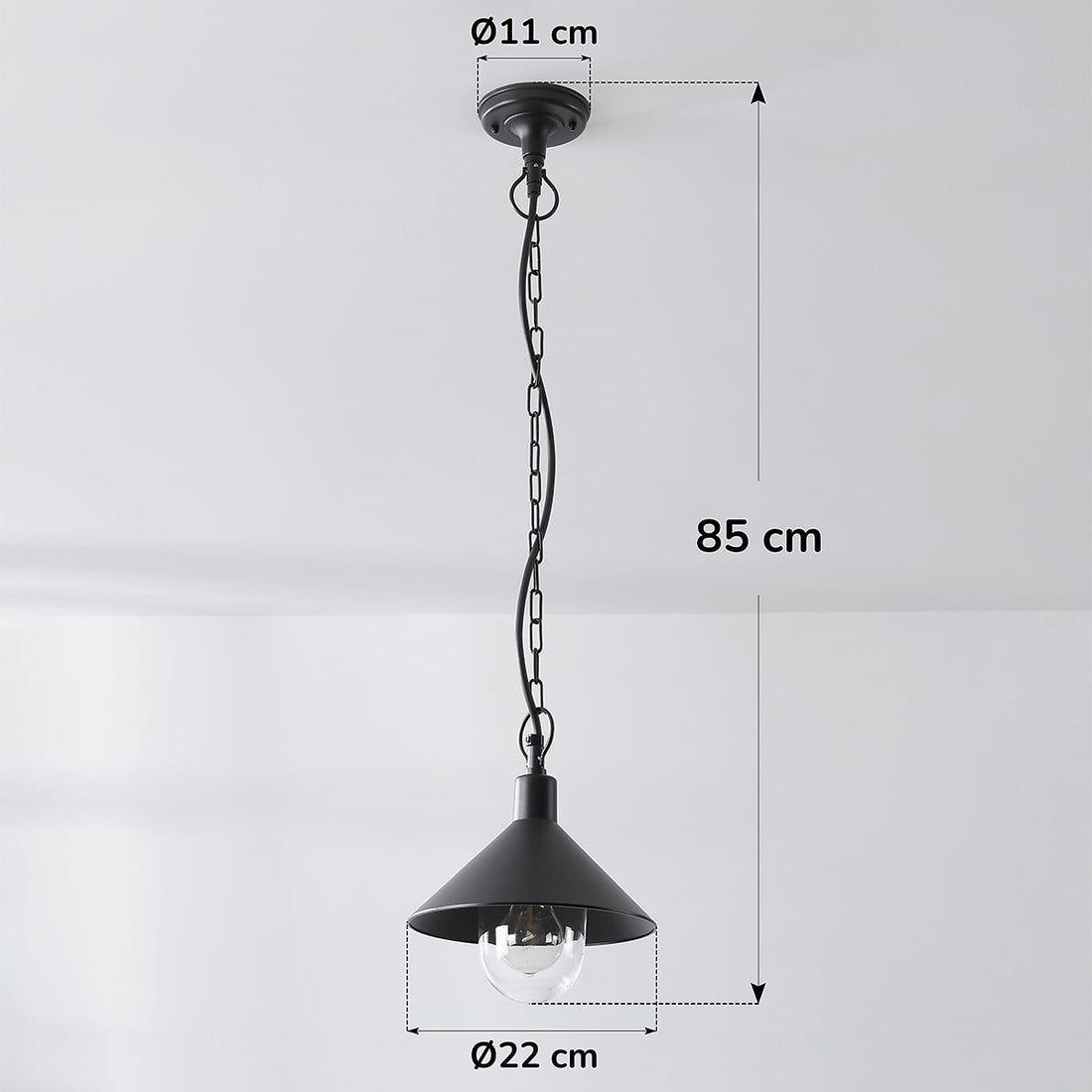 Linden Traditional Outdoor Pendant Light — Black, Clear Glass Globe