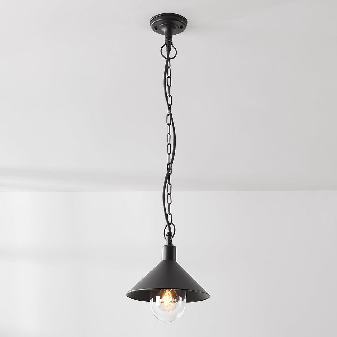 Linden outdoor hanging light in black finish showing clear glass globe and cone mounting