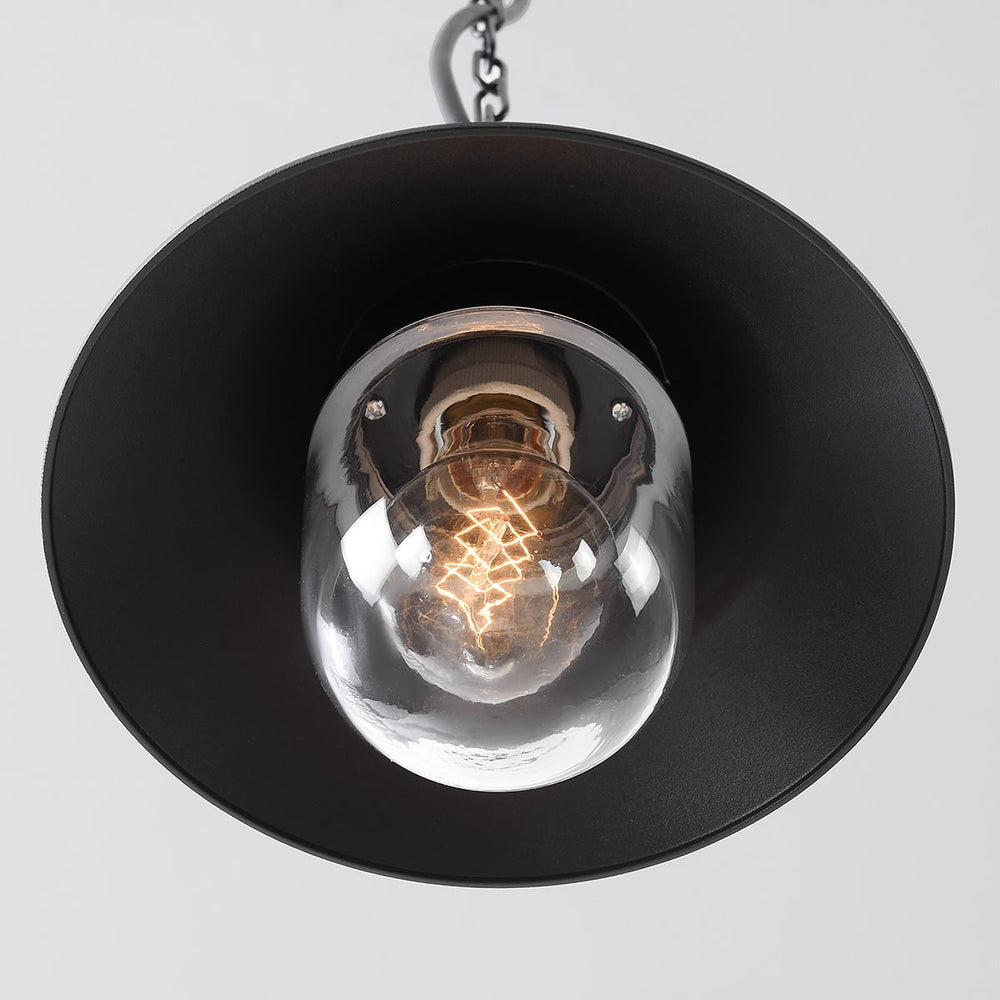 Linden Traditional Outdoor Pendant Light — Black, Clear Glass Globe after dark